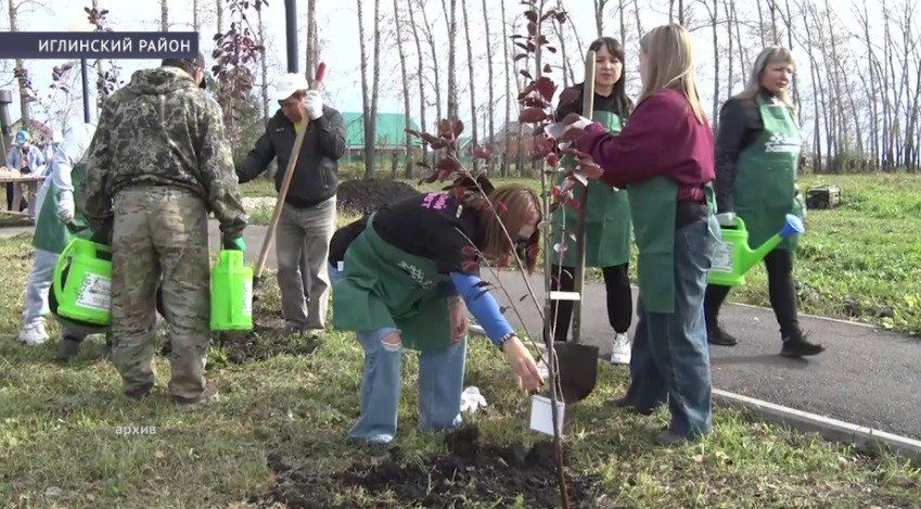 ������� ��������� � ������ ����������: �������� ���� ���������� � ������ ���������