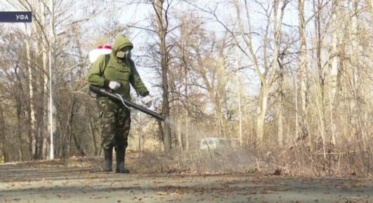 В Уфе стартовала масштабная обработка общественных территорий от клещей