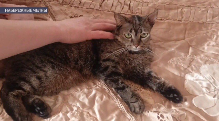 � ��� ���������� ������� ������� �������� � �������� ����� � �����