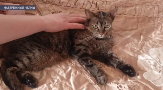 � ��� ���������� ������� ������� �������� � �������� ����� � �����