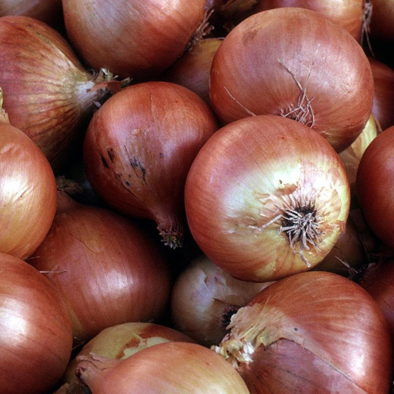 ��� ��������� �������� ������� ��������: ������ � �������