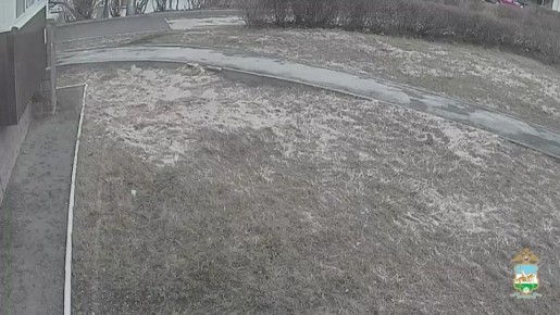 � ������������� �������� ������ ����������, ���������� ������ � �����������