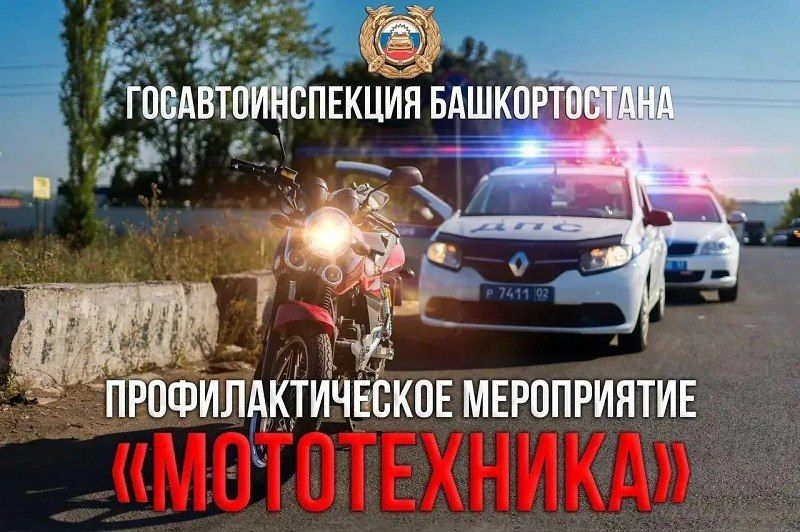 ���������������� ����� ������������