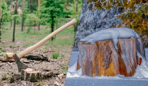 ������ ������ ���� � ���� � �� ��������, � ��������