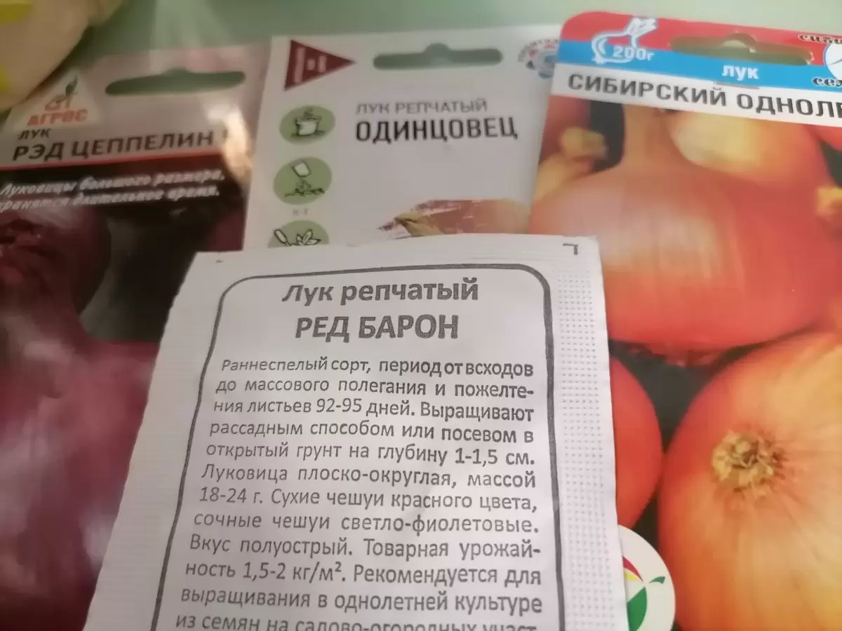 Выращивание репчатого лука: ключевые советы