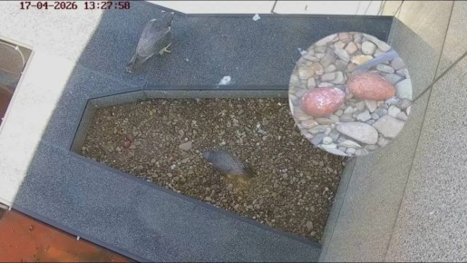 � �������� �� ����� ����� � ��� ��������� ��� ����