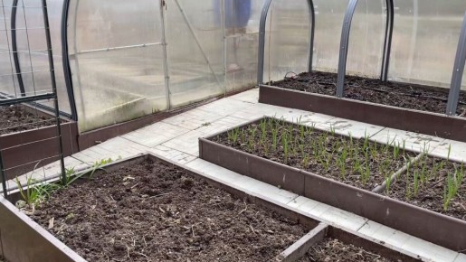 ��� ����������� ������ � ������ ������: ���� � ��������� ������