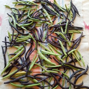 ��������� ���� � �������: �� ������������� ����� �� �������� ��� ������ ������