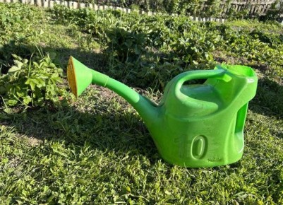 ��� ������ �������� �� ������ ����: �������� ������ ��� ���������