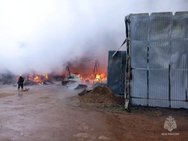 �� ������ ��� ������ ����� ������� �����