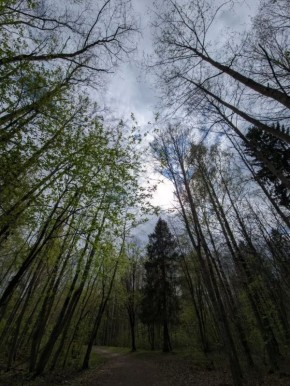 ����������� ���� � �������� ����� ��� �������� �������