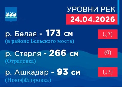 ������ ��� �� 8:00 24 ������