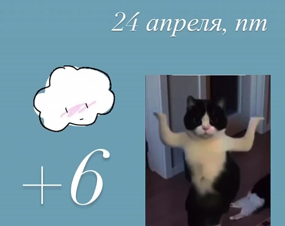 ������ ����! ��� � ��������� �������