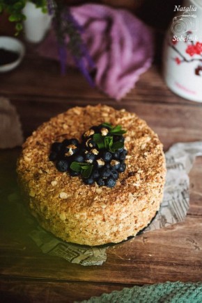 ���� "��������" � ������ � ������ "�������": ���������� ��������� � ����� ����