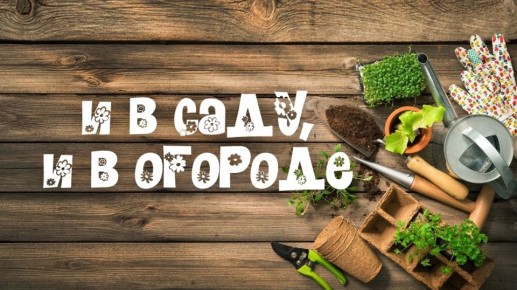 "� � ����, � � �������" ���������, ��� ��������� � �������� �������� �������