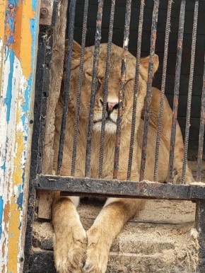 ���������� ��������� ������� �� ���������� ����������� ��� ����������� ���������