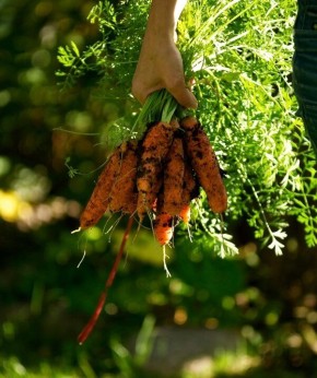 ������� �������� ����� �������: ��� �������� ������ ��� ����������� � ����