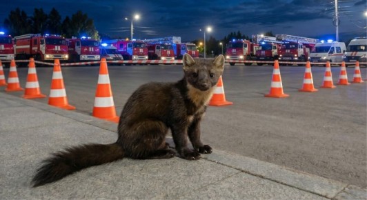 �������� ��������� ������ ������� ������ ������ �� ��������-�����