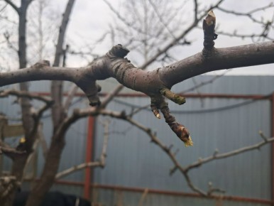 ������� ���������� ��������� ����: ��� �������� ��������