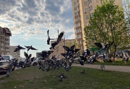 �� ������ ������������, 29 ������ �� ���������� ���������� ��������� �������� ������ � ������������