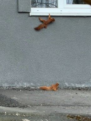 � ������ ������ ����� ������ �� ����� �����������