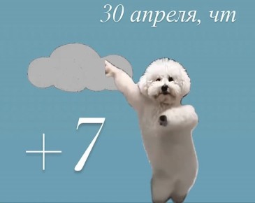 ������ ���� ��� ����� � �� ��������