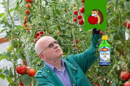 ������������ ������ ������ � ����������: ��� ����� �����