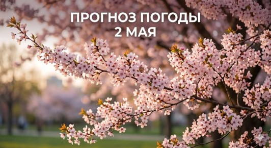 �� ������ ������������, 2 ��� � ��� �������� ������ � ������������