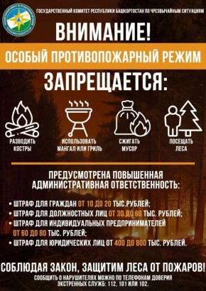 � ����������� ����� ����� �������