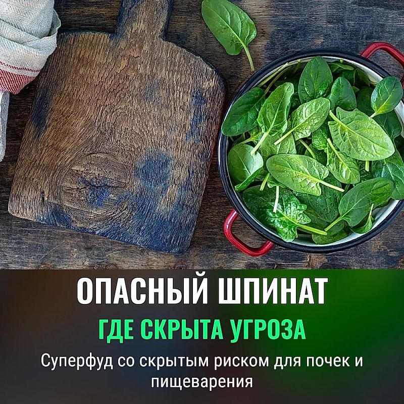 ������: ��������, �� � ������������� � ������ ����������������