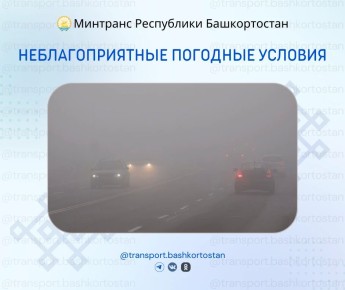 ��������������� �������� ������� 8 ���