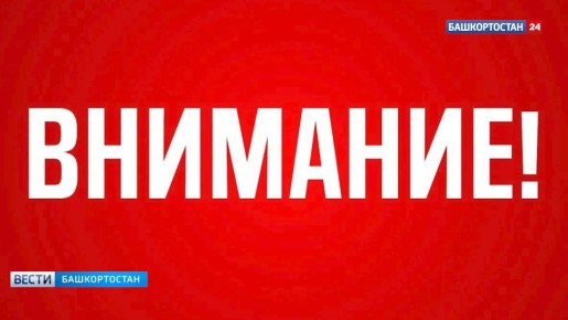 � ������������� ��������� ����������� ���������