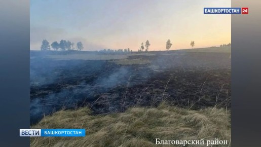 Четыре ландшафтных пожара ликвидированы в Башкортостане за сутки