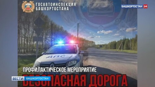 За сутки Госавтоинспекторы Башкирии выявили почти 70 пьяных водителей