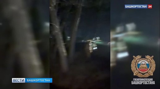 � �������� �������� ������� �������� �� ��� �� ��������� ���������, �� ����� � ������