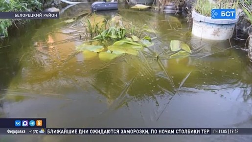 � �������� ��������� ��������� � ��������������� �����