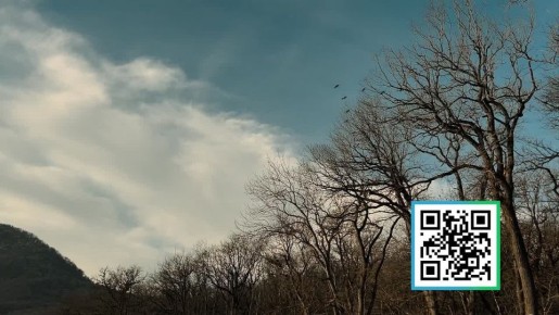 � ��� ������������ ������������� ������-����������� �� ������� ���������������