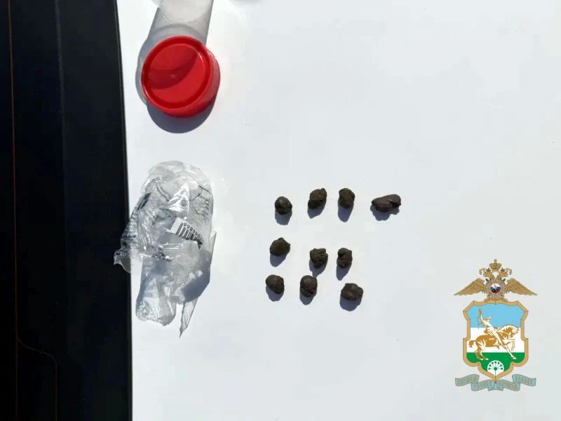 Более 58 граммов наркотических средств изъяли сотрудники полиции в Уфе в рамках операции «Мак-2026» Более 58 граммов наркотических средств изъяли сотрудники полиции в Уфе в рамках операции «Мак-2026»