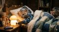 По данным Башгидромета, 24 мая в Уфе переменная облачность, без осадков