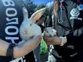 � ��� ������ ��������� ����������������� ����� ���� ��������