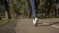 � ��� ����� ������������� ���������� ������� ������� � �������