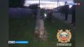 � ������������ ������ �������� ����������� ��������, ���������� � ����� ���������������
