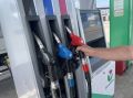 ������� �� ����� ������� � ������ ������������ ������ ����� �� 20-30%, ������ ����-������� ��������� �����
