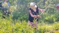 91-летняя бабуля показала мастер-класс на соревнованиях косарей в Зилаирском районе
