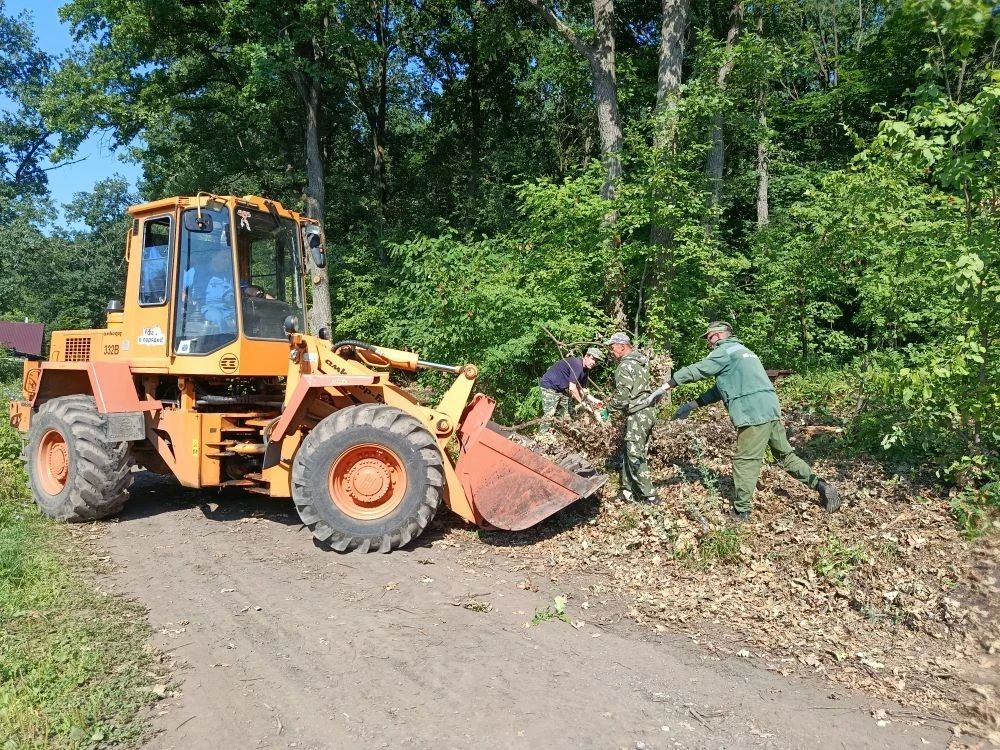 Лесная служба МБУ «Горзеленхоз» г.Уфы ведет работы по выборочной санитарной рубке и прочистке квартальных просек Лесная служба МБУ «Горзеленхоз» г.Уфы ведет работы по выборочной санитарной рубке и прочистке квартальных просек