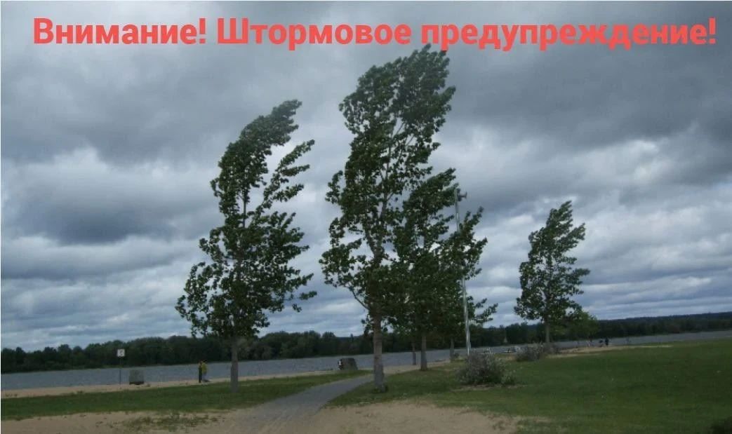 Ветер усилится до 26 метров в секунду: в Башкортостане объявили штормовое предупреждение