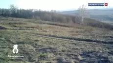 Косуля и заяц попали в объектив фотоловушки в Башкортостане