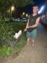 � ������������ ������������ ������� ��������� ������������� � �������� ����������