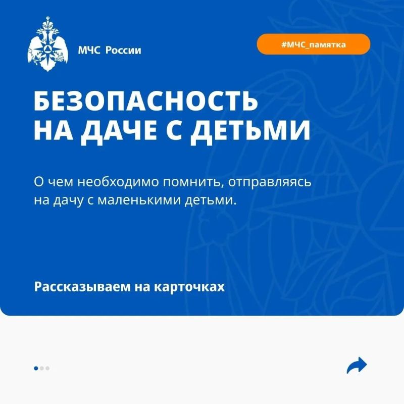 Едем на дачу с детьми: чек-лист от МЧС России