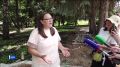Новое – хорошо забытое старое: в парке Ленина восстановят колоннаду